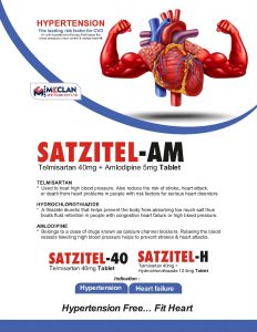 mcclan_visual_page-0038