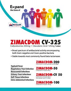 mcclan_visual_page-0047