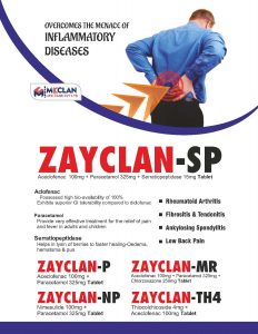 mcclan_visual_page-0048