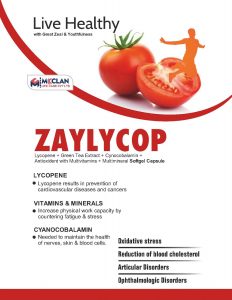 mcclan_visual_page-0051