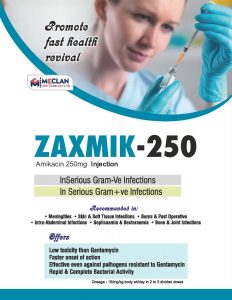 mcclan_visual_page-0052